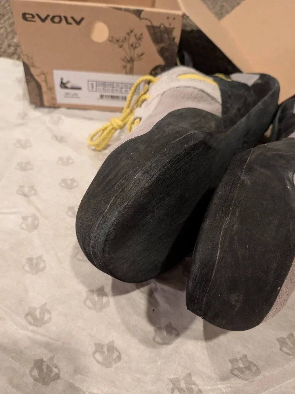 EVOLV - Defy - Lace Climbing Shoe US 11.5 - EU45 - Climb / Rock Climb Gym